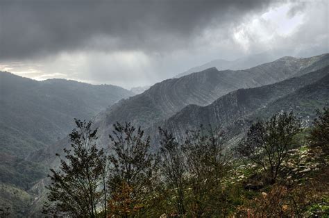 Photograph Of Green Forest And Black Mountain Under Gray Cloudy Sky