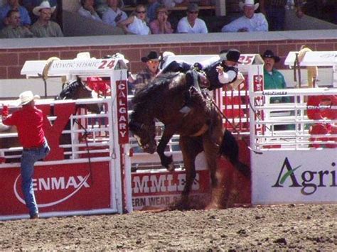 Could be used as a fun motd. 10 Fun Facts about Rodeo | Facts of World