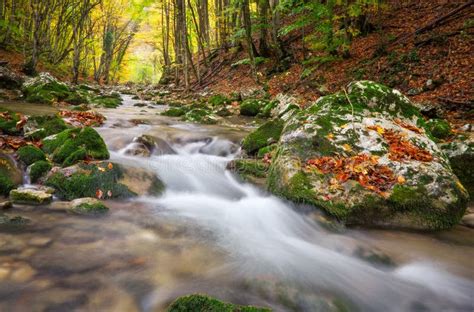 Beautiful Autumn Landscape With Mountain River Stock Image Image Of