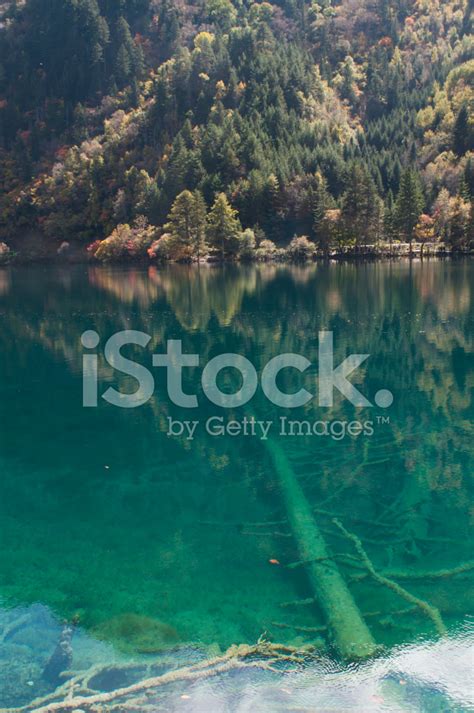 The Lake Of Jiuzhai Sichuan Stock Photo Royalty Free Freeimages