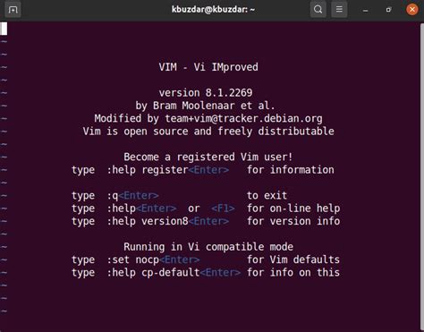 Linux Set Default Editor To Vim Lasopacity
