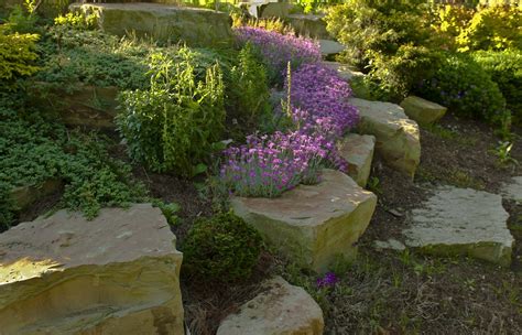 Kentucky Native Plant And Wildlife Rock Gardens A Great Zen Feature
