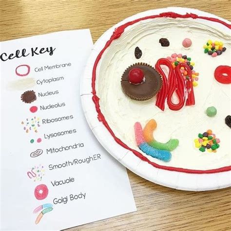 These 33 Edible Science Projects Are Educational And Yummy Too