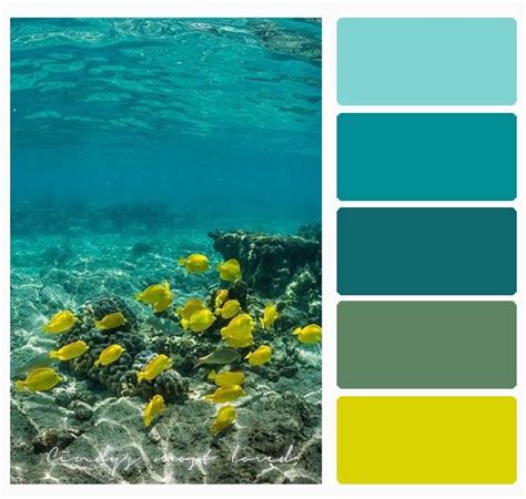 Color Palette Beach Ocean Sea Ocean Color Palette Color Palette