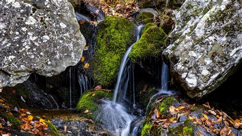 Wallpaper Waterfall Stones Moss Leaves Hd Picture Image