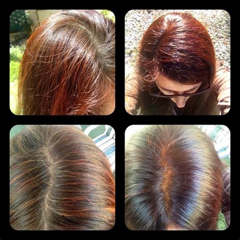 Best hair dye, explore black dyes for hair, explore black henna powders for hair, explore organic black henna powders for hair. Dark Red Henna before & after on dark brown hair with some ...