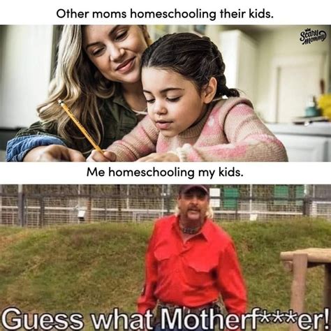 Funny Homeschooling Memes All Parents Can Relate To Right Now