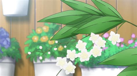 Pin By Rock Hadixe Anime Designer On Fukigen Na Mononokean Plants Anime