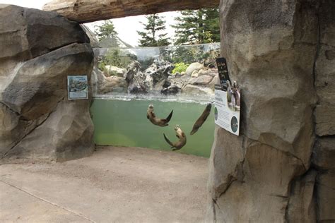 Watershed Heroes River Otter Exhibit Zoochat