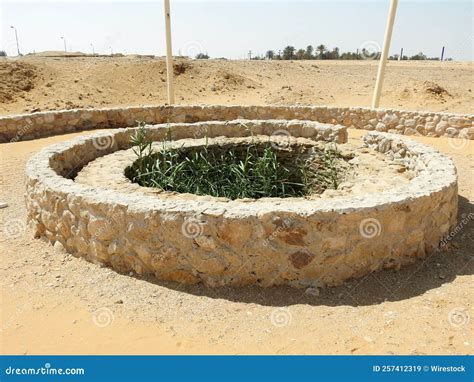 Prophet Moses Springs Water Wells And Palms In Sinai Peninsula Ras