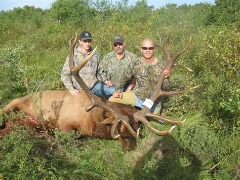 Possible Minnesota Record Elk Taken Scores Near 400 On Bandc Scale