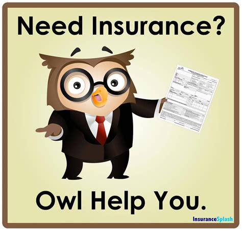 Whoooo needs insurance? | Home insurance quotes, Life insurance quotes, Business insurance