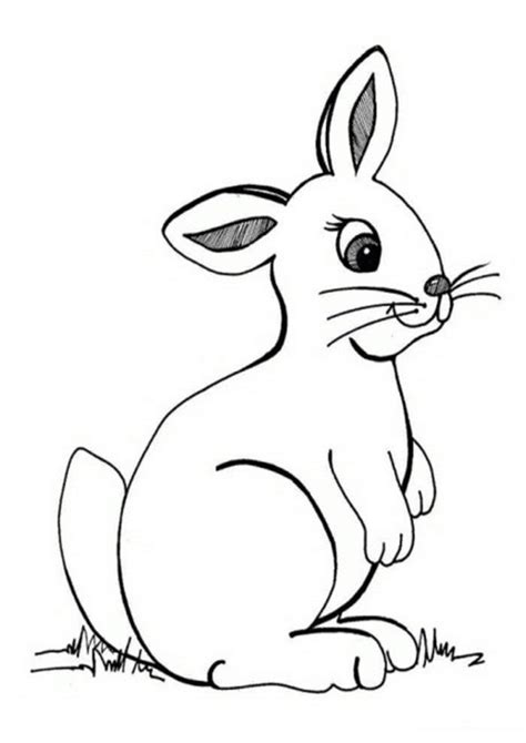 Ob zu ostern oder für andere hoppelige zeiten. Ausmalbilder Hase 24 | Ausmalbilder Tiere