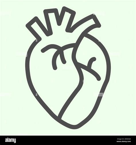 Icono De La Línea Del órgano Del Corazón Corazón Humano Realista