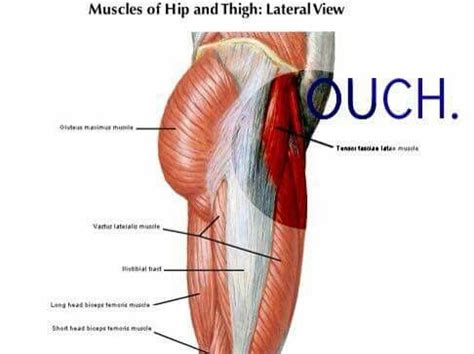 What is the muscles located above back right hip? HIP FLEXOR MASSAGE | Hip flexor, Muscle, Hips