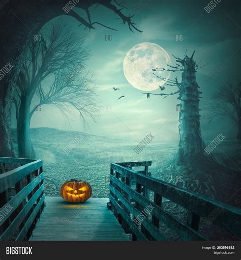 Spooky Autumn Forest Image And Photo Free Trial Bigstock