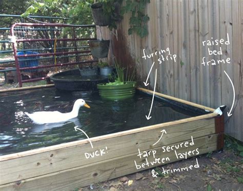 Building a duck pond with a drainage system for my two ducks. How to Build a No-Dig Backyard Pond for Under $70 | Ponds ...