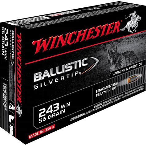 Balle De Chasse Winchester Ballistic Silvertip 55gr Calibre 243 Win