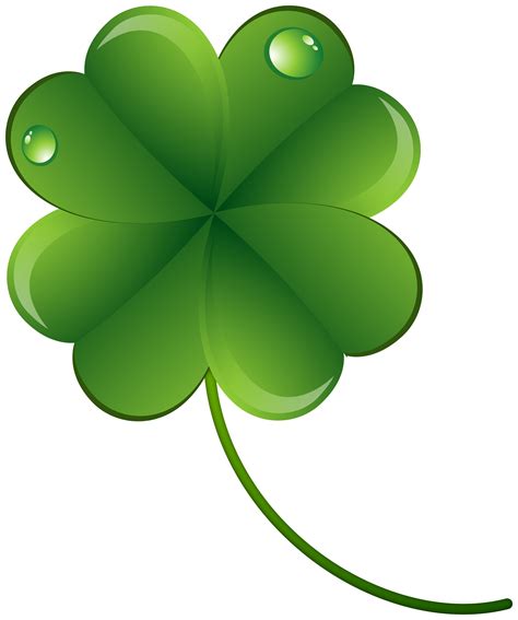 Real Four Leaf Clover Png According To Traditional Sayings Such
