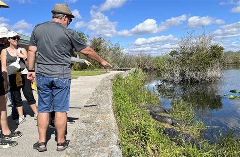 Everglades National Park Insider Tips From Longtime Local