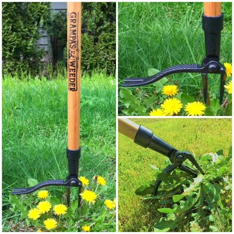 Grampas Weeder The Original Stand Up Weed Puller Tool With Long
