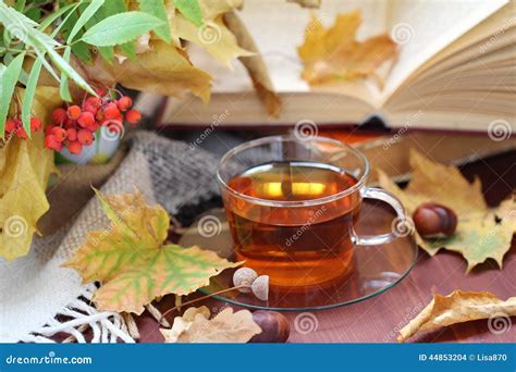 Still Life With Tea Books And Leaves In Autumn Stock Photo Image Of