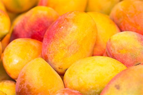 A mango is a stone fruit produced from numerous species of tropical trees belonging to the flowering plant genus mangifera, cultivated mostly for their edible fruit. Comprueban que mango ataulfo puede cicatrizar la piel ...