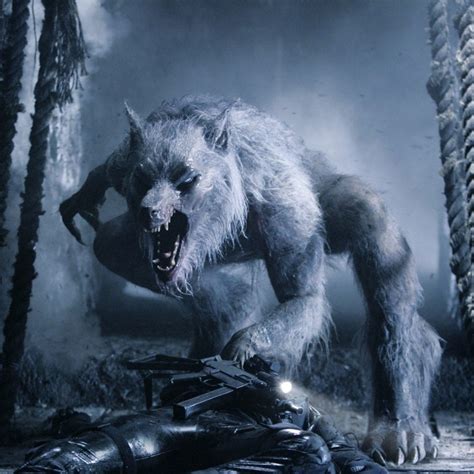 'tenet', 'crash', 'the dark and the wicked', and 'the wolf of snow hollow' 24 december 2020 | slash film. Werewolf Transformations: 4 Types of Wolf Modes | Monsters ...