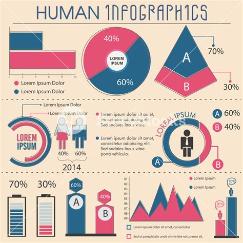 Human Infographic Template Layout With Statistical Graphs And Elements Royalty Free Stock Image