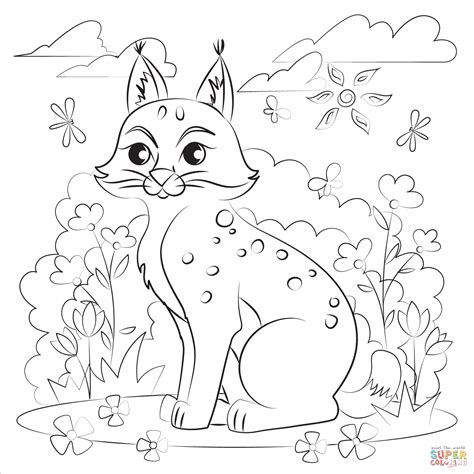 Bobcat Bobcats Sketch Coloring Page