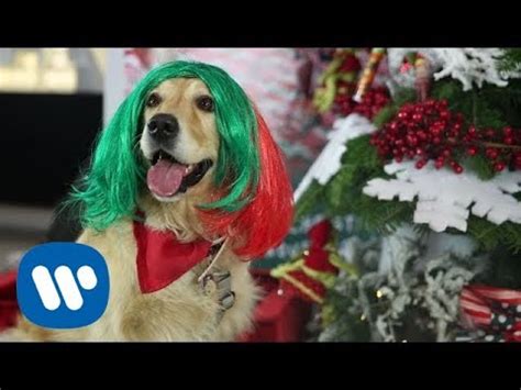 .puppies are forever, not just for christmas puppies are forever, not just for christmas cause they're so cute and fluffy with shiny coats but will you love'em when they're old and slow puppies are. SIA - Puppies Are Forever @ Warner Music Italy - YouTube