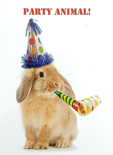 Rabbit Birthday Card Party Animal Funny Bunny In Party Hat Greeting