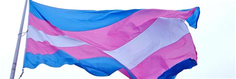 Los 10 Transexuales Más Destacados De La Historia Los Replicantes