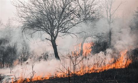 Waspada Riau Darurat Kebakaran Hutan Dan Lahan Parboaboa