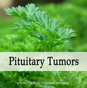 Herbal Medicine for Pituitary Tumors - Caraf Avnayt's Herbal Treatments  Brain Tumor Herbal Medicine