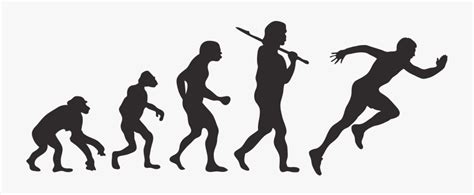 Ken Hokes Human Evolution Timeline Collin Pinterest T