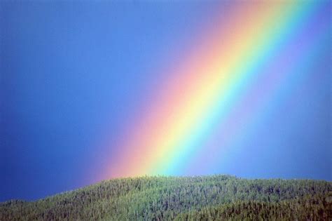 Rainbow Nature Wallpapers Top Free Rainbow Nature Backgrounds