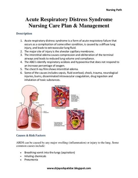 Acute Respiratory Distress Syndrome Nursing Care Plan And Management