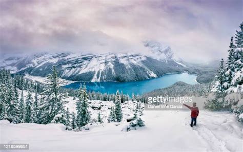 Winter In Banff National Park Foto E Immagini Stock Getty Images