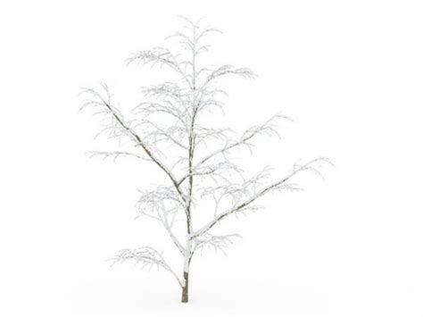 Winter Snow Tree Free 3d Model Max Open3dmodel