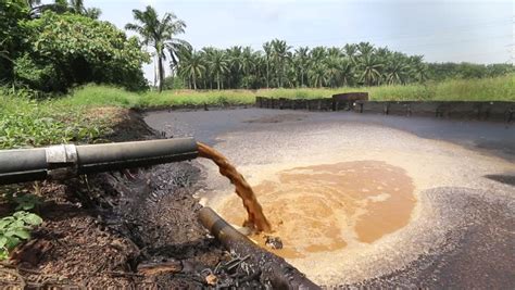 Palm oil mill effluent is a highly polluting material, due to its high biological oxygen demand (bod), low ph and colloidal nature. Palm Oil Mill Effluent (POME) Wastewater Being Discharged ...