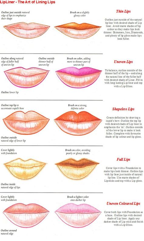 The Art Of Lip Liner Thin Lips How To Apply Lipstick Lip Shapes