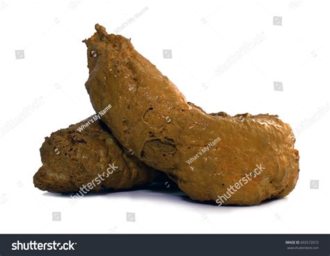 Poop Stock Photos Images And Photography Shutterstock