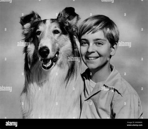 Lassie Tommy Rettig Circa 1955 Stock Photo Alamy