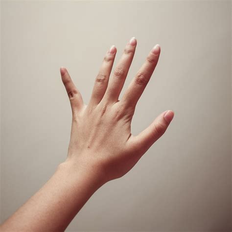 Free Image On Pixabay Hand Photography Palm Finger Finger Hand