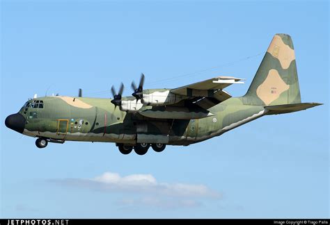 16804 Lockheed C 130h Hercules Portugal Air Force Tiago Palla