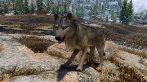 True Wolves Of Skyrim At Skyrim Nexus Mods And Community