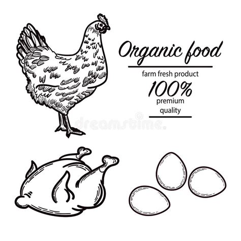 Chicken Roast Chicken Eggs Hand Drawn Sketch In A Graphic Style