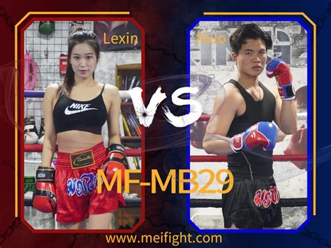 Mf Mb29 Mixed Boxing Projavhard