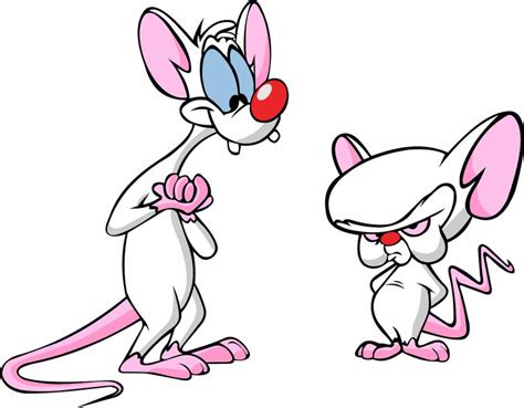 Pinky and the brain is an american animated television series. Pinky and the Brain by GeminiFire89 on DeviantArt
